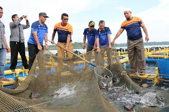Bupati Bintan saat panen bersama dengan kelompok tani budidaya ikan di Kabupaten Bintan
