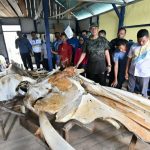 Bupati Bintan Apri Sujadi melihat rangka ikan raksasa saat berkunjung ke Tambelan