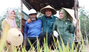 Tahun 2018, Alokasi 98 Ton Pupuk Bersubsidi Menyebar Bagi Petani di Bintan