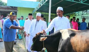 Pemkab Bintan Siapkan Hewan Qurban 17 Ekor Sapi Jelang Hari Raya Idul Adha