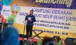 Sambutan Ansar