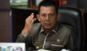 Gubernur Jembatan Babin