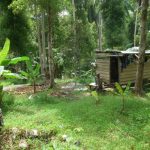 Seorang petani di Tambelan Kabupaten Bintan di pondok di areal perkebunannya Desember 2022. Gubernur Kepri Ansar Ahmad mengajak HKTI Kepri untuk melakukan digitalisasi untuk aktivitas transaksi pertanian di Kepri. (Foto/ Med)