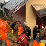 Musibah Tanah Longsor dan Pohon Tumbang Terjadi di Dua Kelurahan di Tanjungpinang Akibat Curah Hujan Tinggi