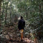 Wisata Gunung Bintan, Destinasi Menarik bagi Pecinta Alam