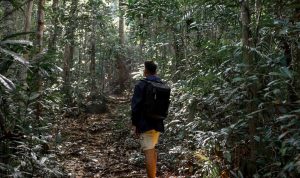 Wisata Gunung Bintan, Destinasi Menarik bagi Pecinta Alam