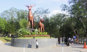 Wisata Alam Asri di Taman Rusa Sekupang Batam